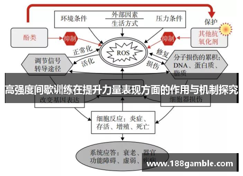 高强度间歇训练在提升力量表现方面的作用与机制探究