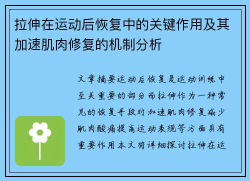 拉伸在运动后恢复中的关键作用及其加速肌肉修复的机制分析